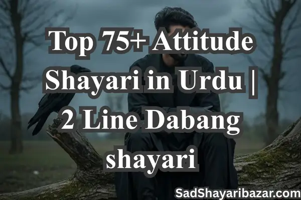 Attitude Shayari in urdu