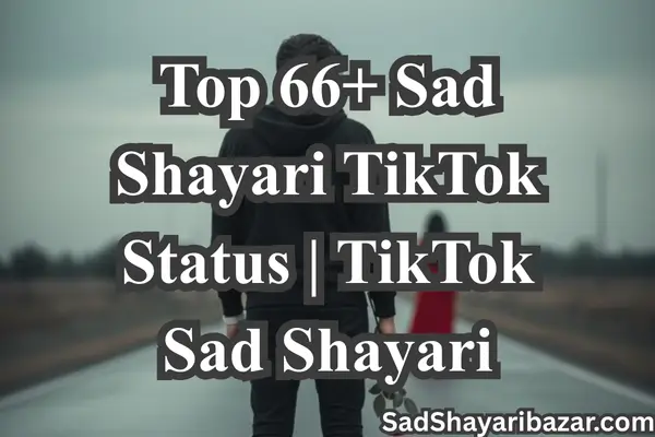 Sad Shayari Tiktok Status