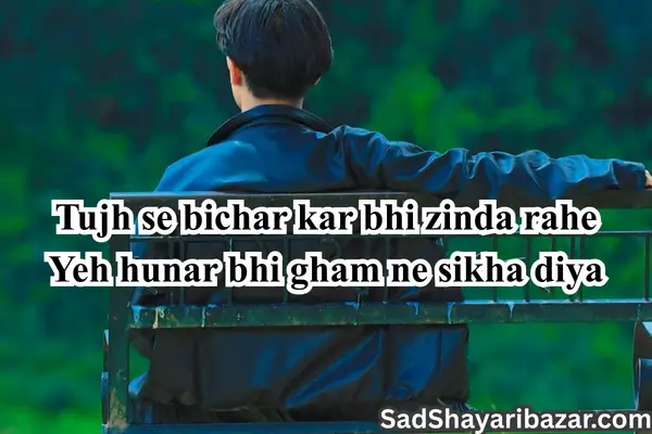 Sad Shayari Tiktok Status
