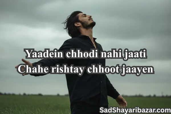Sad Shayari Tiktok Status