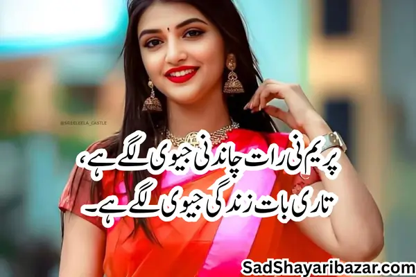 Love Shayari Captions