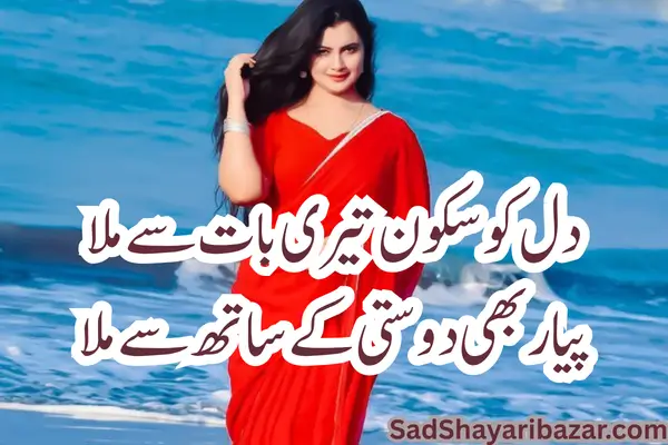 Love Dosti Shayari