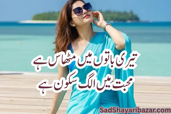 Love Dosti Shayari