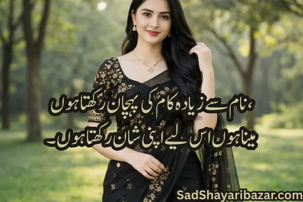 Meena Attitude Shayari