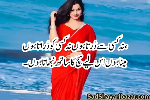 Meena Attitude Shayari